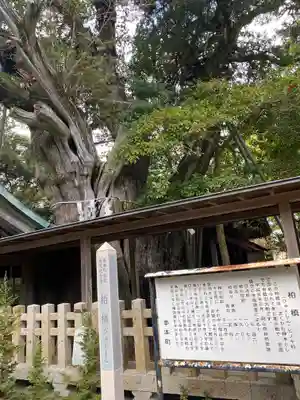 潮崎本之宮神社の自然