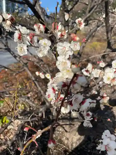 芝東照宮の自然