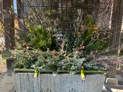 國魂神社の手水舎