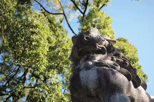 加納天満宮の狛犬