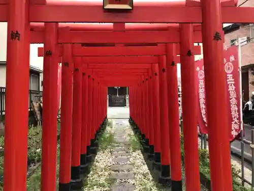 道念稲荷神社の鳥居