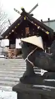 札幌諏訪神社の狛犬