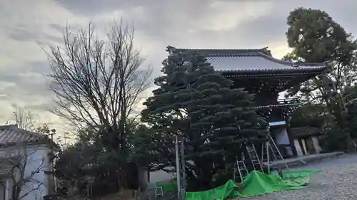 梅宮大社(京都府)