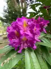 三日月神社の自然