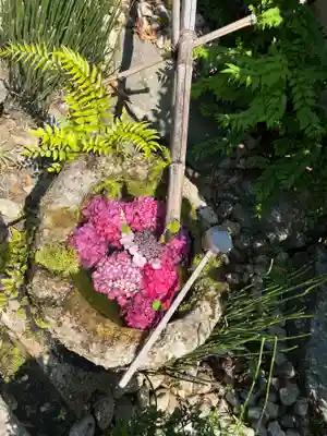 柳谷観音　楊谷寺(京都府)