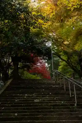 柞原八幡宮(大分県)