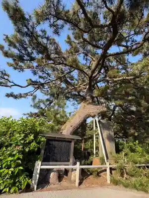 御穂神社の{uncategorized: "未分類", other: "その他", undefined: "問題あり", building: "その他建物", grave: "お墓", sacred_gate: "鳥居", guardian: "狛犬", statue: "像", buddha: "仏像", history: "歴史", nature: "自然", garden: "庭園", animal: "動物", pagoda: "塔", temizu: "手水舎", mountain_gate: "山門・神門", sanctuary: "本殿・本堂", subordinate: "末社・摂社", art: "芸術", scenery: "景色", jizo: "地蔵", ema: "絵馬", goshuin: "御朱印", omikuji: "おみくじ", items: "授与品その他", amulet: "お守り", goshuincho: "御朱印帳", eats: "食事", festival: "お祭り", votive_dance: "神楽", shichigosan: "七五三参", wedding: "結婚式", experience: "体験その他", initially: "初詣", around: "周辺", anti_infection: "感染症対策"}