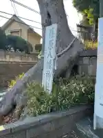 篠原八幡神社の{uncategorized: "未分類", other: "その他", undefined: "問題あり", building: "その他建物", grave: "お墓", sacred_gate: "鳥居", guardian: "狛犬", statue: "像", buddha: "仏像", history: "歴史", nature: "自然", garden: "庭園", animal: "動物", pagoda: "塔", temizu: "手水舎", mountain_gate: "山門・神門", sanctuary: "本殿・本堂", subordinate: "末社・摂社", art: "芸術", scenery: "景色", jizo: "地蔵", ema: "絵馬", goshuin: "御朱印", omikuji: "おみくじ", items: "授与品その他", amulet: "お守り", goshuincho: "御朱印帳", eats: "食事", festival: "お祭り", votive_dance: "神楽", shichigosan: "七五三参", wedding: "結婚式", experience: "体験その他", initially: "初詣", around: "周辺", anti_infection: "感染症対策"}