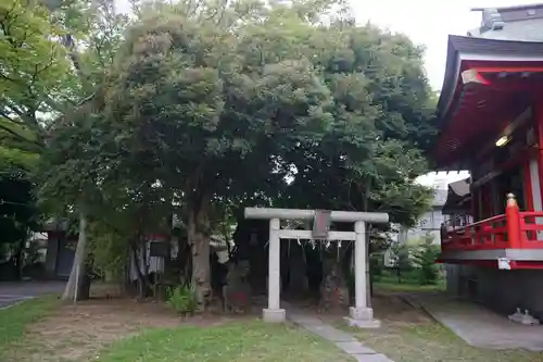 当代島稲荷神社の鳥居