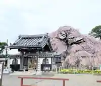 安国寺のその他建物