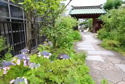 大巧寺(神奈川県)