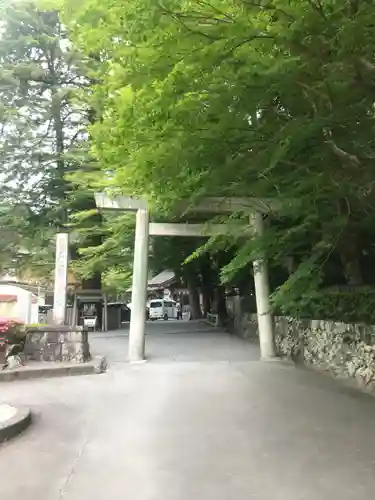 椿大神社の鳥居