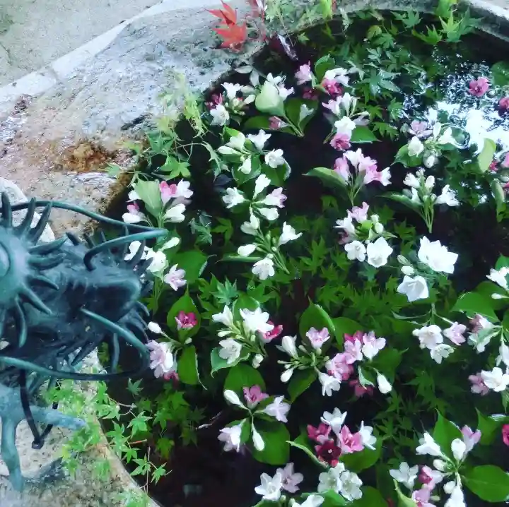 立志神社の手水舎