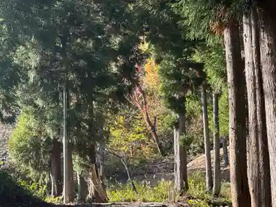 中村観音堂(天養寺)(山形県)