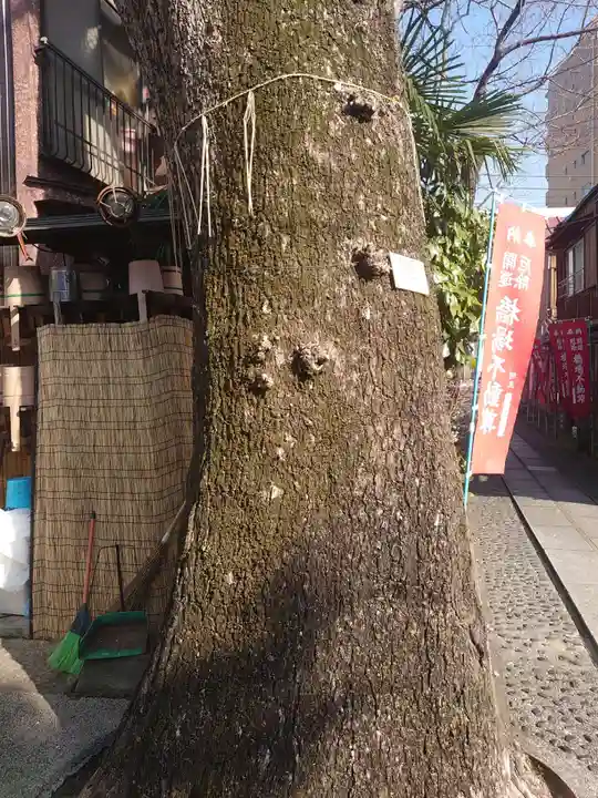 橋場寺不動院(橋場不動尊)の自然