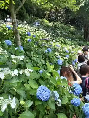 長谷寺(神奈川県)
