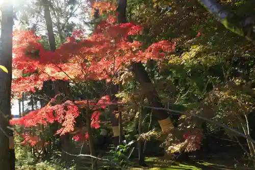 唐招提寺(奈良県)