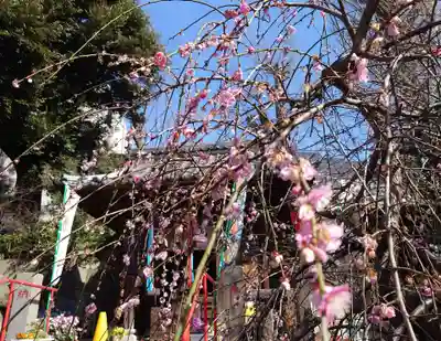 烏森稲荷神社(東京都)