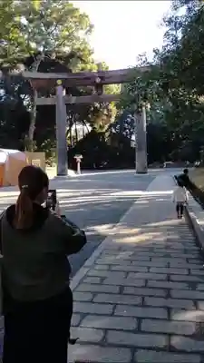 明治神宮の鳥居