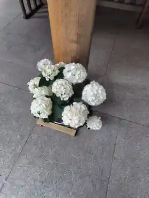 阿佐ヶ谷神明宮(東京都)