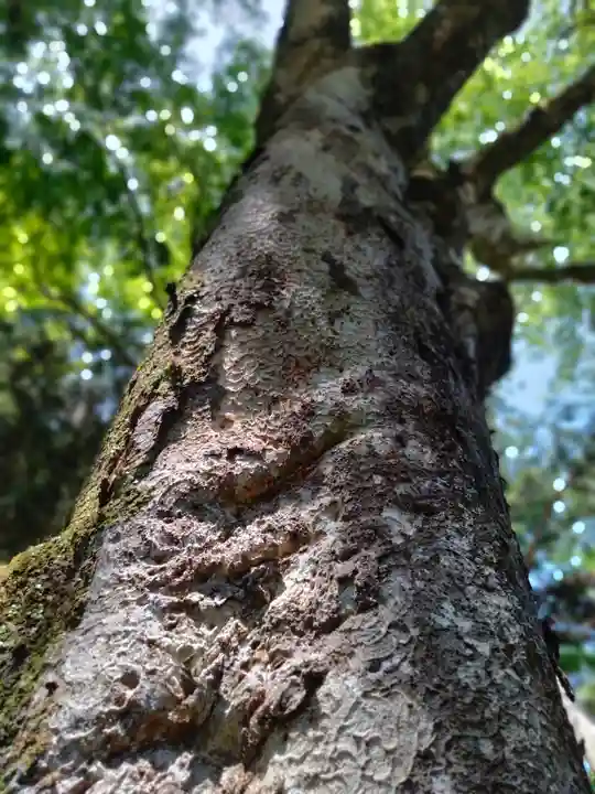 丹生川上神社(下社)(奈良県)