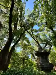 住吉大社(大阪府)