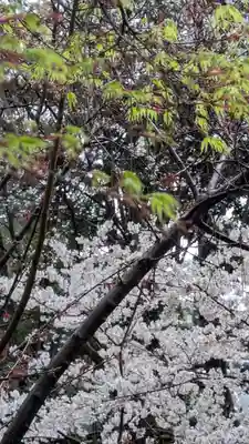 建部大社(滋賀県)