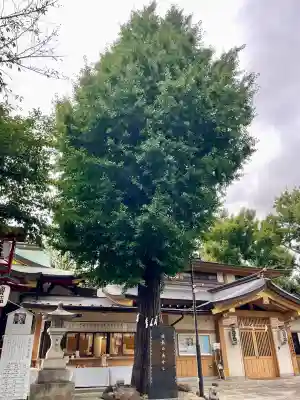 居木神社(東京都)