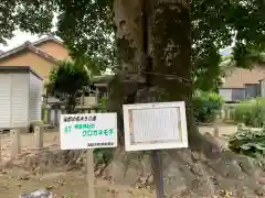 神倉神社の建物その他