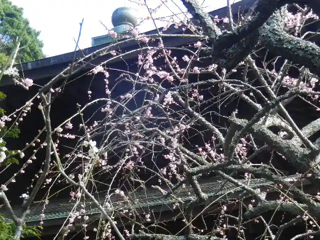 瑞泉寺のその他建物