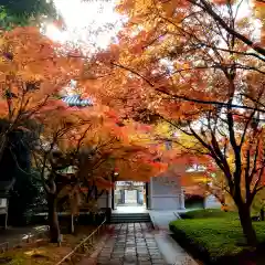 西見寺(静岡県)