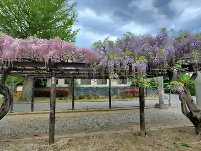 大天白神社の自然