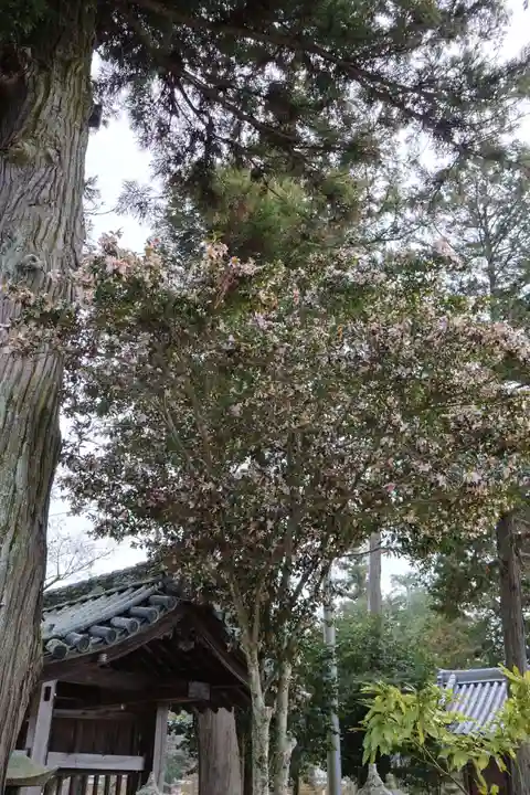 由加神社(和気由加神社)(岡山県)
