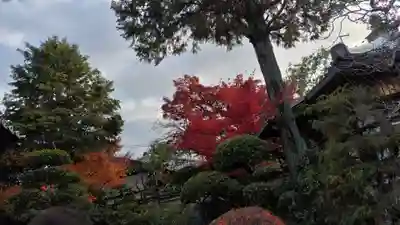 霊源院(京都府)