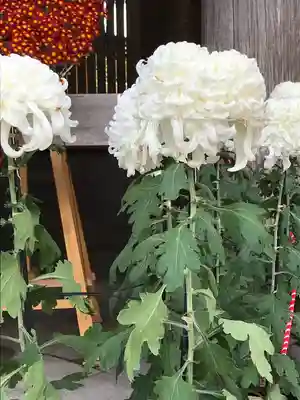 明治神宮(東京都)