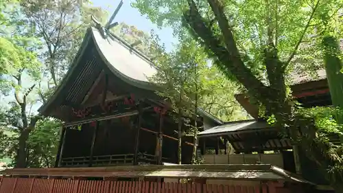 青井阿蘇神社の本殿