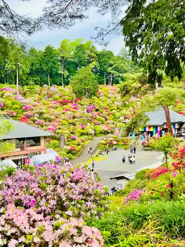 塩船観音寺(東京都)