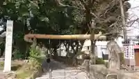 越ヶ谷久伊豆神社の鳥居