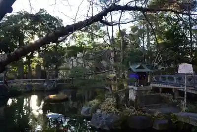 西新井大師総持寺(東京都)
