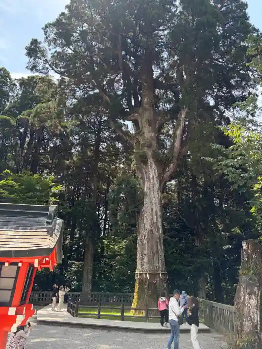 霧島神宮の{uncategorized: "未分類", other: "その他", undefined: "問題あり", building: "その他建物", grave: "お墓", sacred_gate: "鳥居", guardian: "狛犬", statue: "像", buddha: "仏像", history: "歴史", nature: "自然", garden: "庭園", animal: "動物", pagoda: "塔", temizu: "手水舎", mountain_gate: "山門・神門", sanctuary: "本殿・本堂", subordinate: "末社・摂社", art: "芸術", scenery: "景色", jizo: "地蔵", ema: "絵馬", goshuin: "御朱印", omikuji: "おみくじ", items: "授与品その他", amulet: "お守り", goshuincho: "御朱印帳", eats: "食事", festival: "お祭り", votive_dance: "神楽", shichigosan: "七五三参", wedding: "結婚式", experience: "体験その他", initially: "初詣", around: "周辺", anti_infection: "感染症対策"}