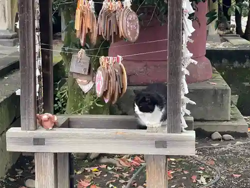 今市報徳二宮神社(栃木県)