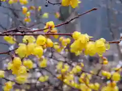 石稲荷神社(茨城県)