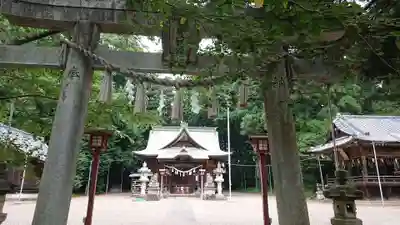 安房神社の鳥居