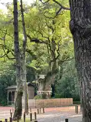 熱田神宮の建物その他