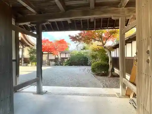 善照寺(滋賀県)