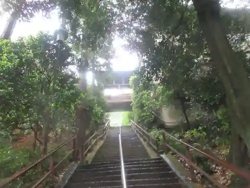 達磨寺(群馬県)