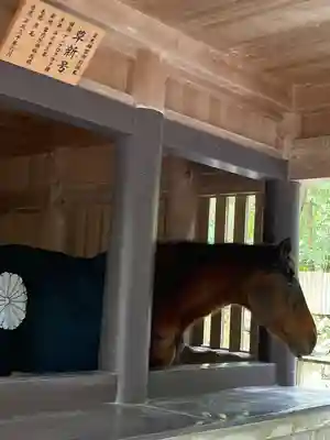 伊勢神宮内宮（皇大神宮）(三重県)