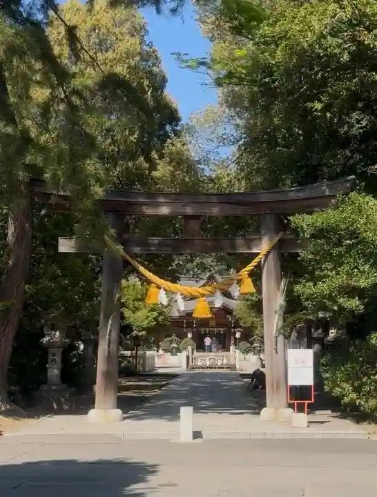 進雄神社の{uncategorized: "未分類", other: "その他", undefined: "問題あり", building: "その他建物", grave: "お墓", sacred_gate: "鳥居", guardian: "狛犬", statue: "像", buddha: "仏像", history: "歴史", nature: "自然", garden: "庭園", animal: "動物", pagoda: "塔", temizu: "手水舎", mountain_gate: "山門・神門", sanctuary: "本殿・本堂", subordinate: "末社・摂社", art: "芸術", scenery: "景色", jizo: "地蔵", ema: "絵馬", goshuin: "御朱印", omikuji: "おみくじ", items: "授与品その他", amulet: "お守り", goshuincho: "御朱印帳", eats: "食事", festival: "お祭り", votive_dance: "神楽", shichigosan: "七五三参", wedding: "結婚式", experience: "体験その他", initially: "初詣", around: "周辺", anti_infection: "感染症対策"}
