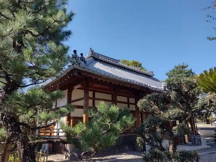 教宗寺の本殿・本堂
