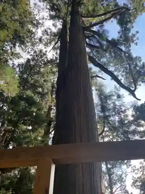 玉置神社(奈良県)